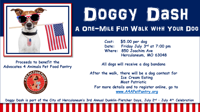 Doggy Dash flyer